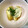 aaikoo's cooksnap of when they made 簡単！鶏挽肉と大葉で油揚げの巾着煮。.