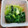 ふか谷's cooksnap of when they made 白だしで簡単！小松菜のおひたし.