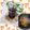 ♪としクック♪'s cooksnap of when they made にんにく醤油.