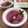 イベ長's cooksnap of when they made 簡単！大人秋色リンゴのワイン煮＾＾.