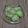 朔耶's cooksnap of when they made ブロッコリーの茎で♪鶏がら塩ナムル.