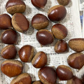 こっこのすけ's cooksnap of when they made 生栗は下処理(虫止め)後に熟成させよう.