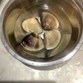 クックOS6YTL☆'s cooksnap of when they made ペットボトルで簡単計量！あさりの砂抜き.