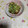 くネコまろす's cooksnap of when they made 簡単！磯香る♪あおさの玉子焼き.