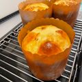 kanaSG's cooksnap of when they made クリスマス本格派パネトーネ 手順写真付き.