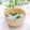 Satoco❋'s cooksnap of when they made 玉ねぎとわかめのお味噌汁.