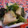 tomokoshiawase's cooksnap of when they made こくまろ★お浸し.