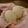 おぐネオ's cooksnap of when they made 白パン.