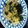 ぱるみーぱれっと's cooksnap of when they made ツナパスタ♪.