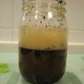 ポンミル's cooksnap of when they made リーフティーで紅茶酵母.