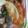 Ｎｏｄｙ's cooksnap of when they made ＊カリカリチーズ＊おつまみにも.