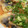 ゆうこちレシピ's cooksnap of when they made さんまのみぞれ煮.