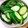 akmix☻'s cooksnap of when they made 簡単･しんぷるきゅうりの浅漬け.