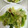 なーなちゃん's cooksnap of when they made 中華風レタスの湯引き.