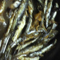 syamam｡'s cooksnap of when they made 生姜とコショウdeいわしの佃煮.