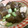 cathalyn's cooksnap of when they made 冷やしてもおいしい♪ナスと鶏肉の煮びたし.