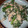 マドレーヌ姫's cooksnap of when they made ♣春菊とツナのごまマヨ和え♣.