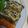 yuppy62's cooksnap of when they made 芽ひじきの簡単ひじきの煮物.