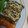 yuppy62's cooksnap of when they made 芽ひじきの簡単ひじきの煮物.