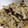 カンちん's cooksnap of when they made しいたけとえのきの炒め物.