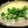 たもたん's cooksnap of when they made トロ玉汁.