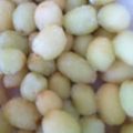 つたき's cooksnap of when they made まるごとブドウシャーベット☆.
