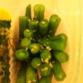 つたき's cooksnap of when they made いんげんのゴマ和え(醤油味).