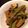 satokohime's cooksnap of when they made 夏野菜のポン酢煮.
