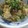 yanguchi's cooksnap of when they made しめじバター卵とじ☆.