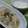 0403MikA's cooksnap of when they made 鶏手羽元と大根のスープ.