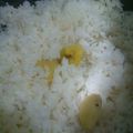 さくらxxo's cooksnap of when they made 塩麹de栗ご飯♪.
