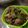 kazue52's cooksnap of when they made 苦くない！ピーマンと牛肉のカレーきんぴら.