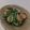 いたちゃん55's cooksnap of when they made かぶのしょうが焼き.