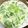 さるちゃん's cooksnap of when they made リメイク！簡単♡レンジ茶碗蒸し♪.