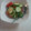 あやか＆しんご's cooksnap of when they made ミニトマトときゅうりのマリネ風サラダ.