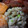 みかるxxx's cooksnap of when they made これウマ！簡単♪ネギとろサンマ丼.