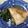 郁金花's cooksnap of when they made 鯛でもカレイでも！煮魚.