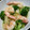 sunfishsea's cooksnap of when they made エビとジャガイモのシャッキリ炒め☆.