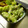 あひるの娘's cooksnap of when they made お弁当✿いんげんの胡麻ゴマ和え.
