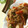 りんりんりんちゃん's cooksnap of when they made 簡単 プルコギ?！肉野菜炒め.