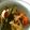 みかん由紀's cooksnap of when they made 鶏もも肉ときゅうりの塩こんぶ和え.