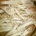 協子♥'s cooksnap of when they made 乾燥えのき（干しえのき）.