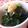 tomokoshiawase's cooksnap of when they made ニラとワカメの辛し酢味噌和え.