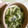 ばたふりぃ's cooksnap of when they made モロヘイヤとシイタケの卵とじ和風スープ.
