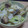 夏風乙葉's cooksnap of when they made さんまのオイスターソース炒め.