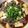 おにかぼちゃ's cooksnap of when they made レンチン肉豆腐.