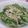 ☆ニモっち☆'s cooksnap of when they made 水菜ツナサラダ。.