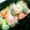 さうぃぃだ's cooksnap of when they made ルクエと塩麹で簡単！鮭と野菜の蒸し物.