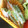 ★moーmo★'s cooksnap of when they made お弁当に～いんげんと竹輪のマヨゴマ炒め.