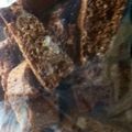 とまとくりーむ's cooksnap of when they made カリカリ☆ビスコッティー.
